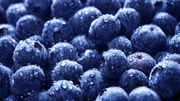 Industrial_food_refrigeration_180x101.png