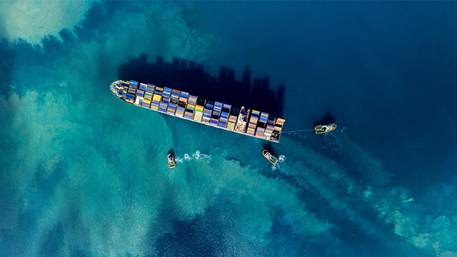 engine protection from cat fines