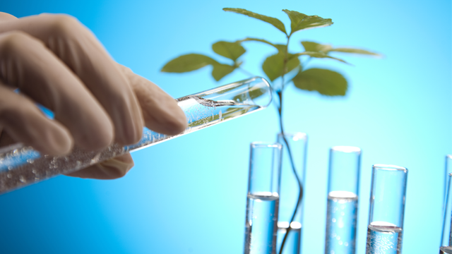 Bio based chem 640x360