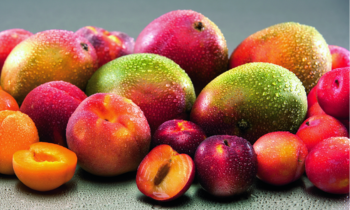 Improve pectin dispersion whitepaper