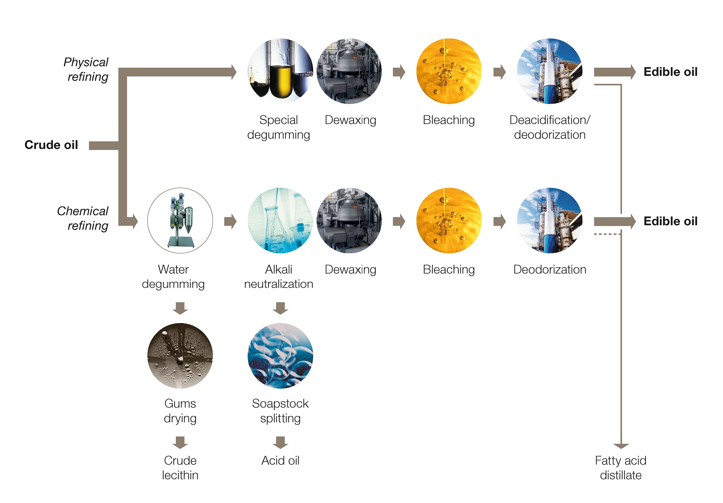 edible oil refining process